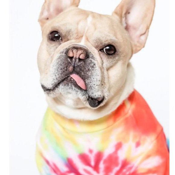 Rainbow Tie-Dye Dog Tee LOVETHYBEAST - NEW LARGE